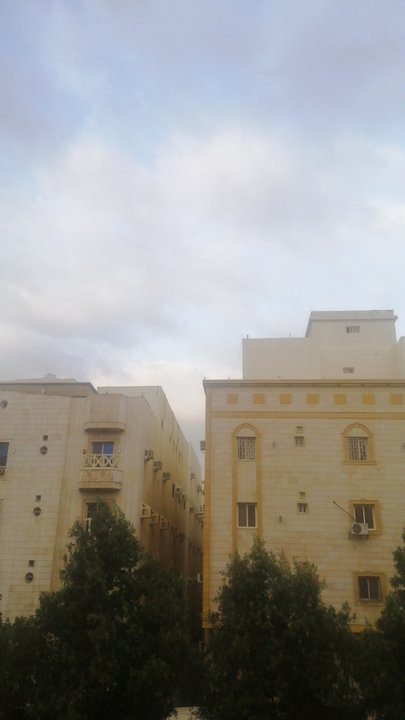 Mes publications Crowdsourcing