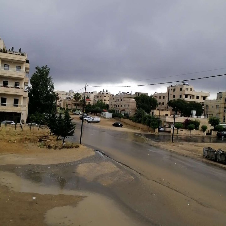 مشاركاتي في أنت الراصد