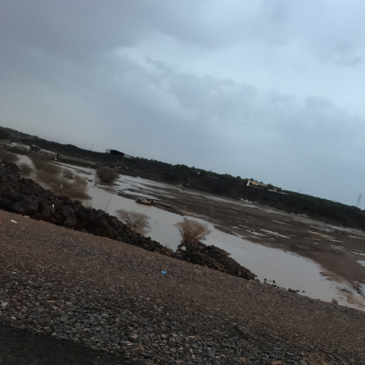 مشاركاتي في أنت الراصد