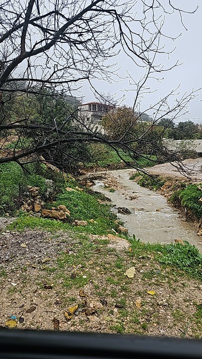 مشاركاتي في أنت الراصد