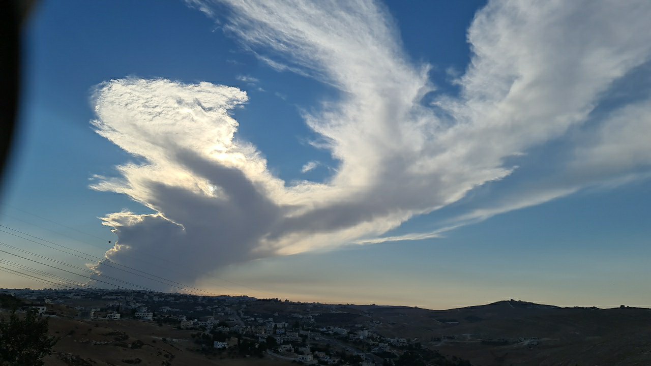 مشاركاتي في أنت الراصد