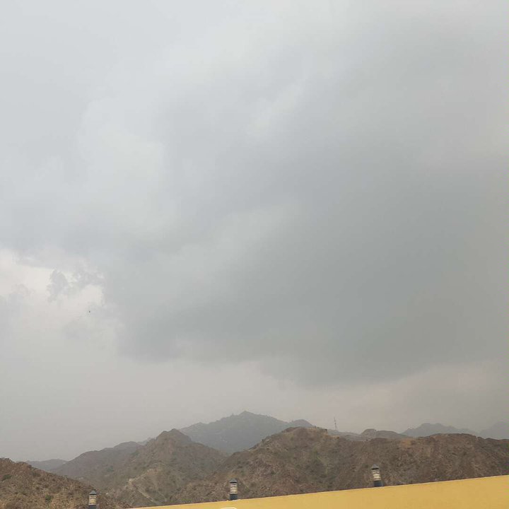 مشاركاتي في أنت الراصد