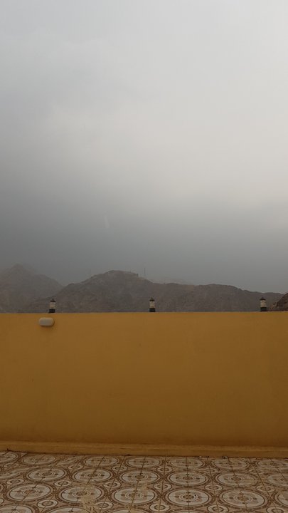 مشاركاتي في أنت الراصد