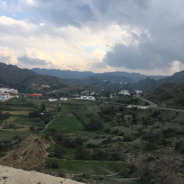 مشاركاتي في أنت الراصد