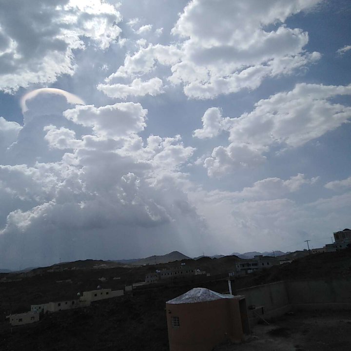 مشاركاتي في أنت الراصد