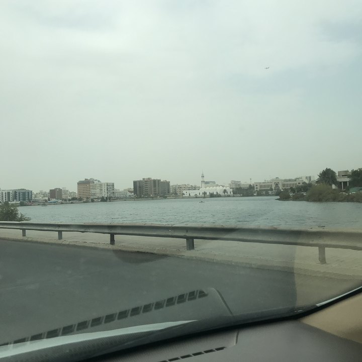 مشاركاتي في أنت الراصد