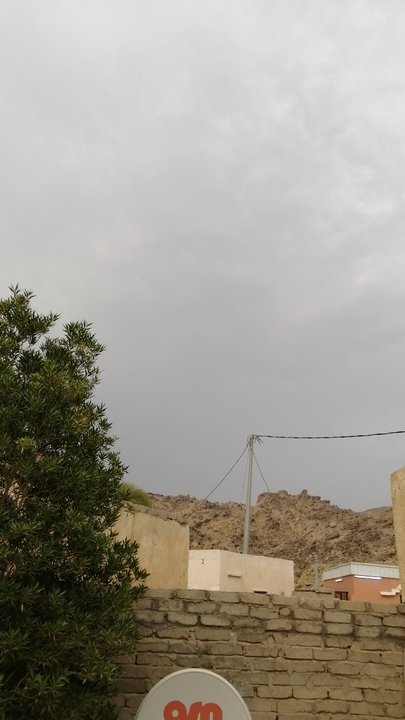 مشاركاتي في أنت الراصد