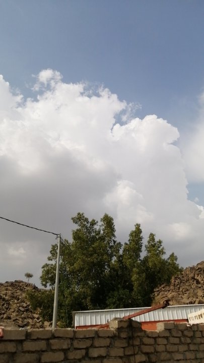 مشاركاتي في أنت الراصد