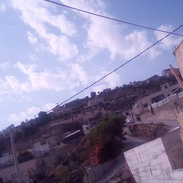 مشاركاتي في أنت الراصد