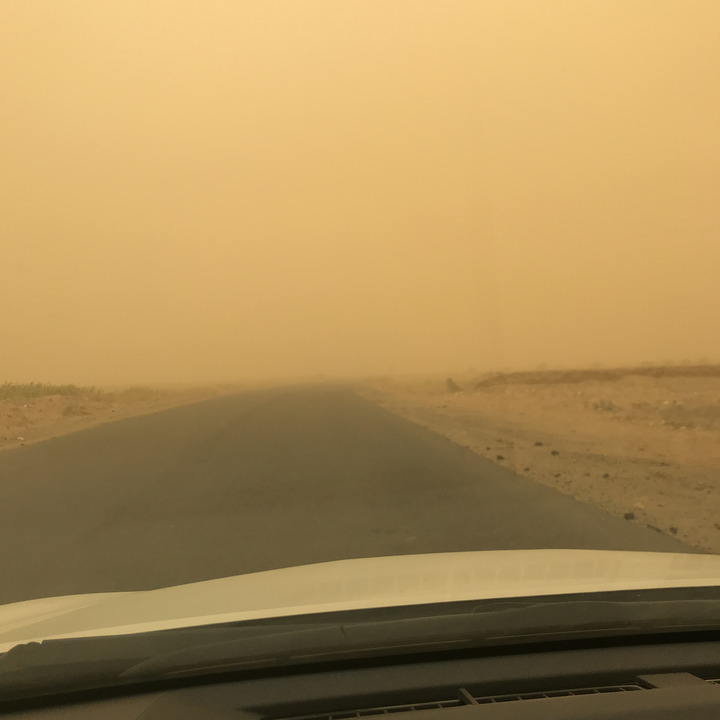 مشاركاتي في أنت الراصد