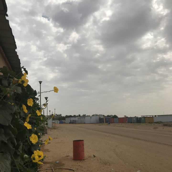 My Crowdsourcing Posts