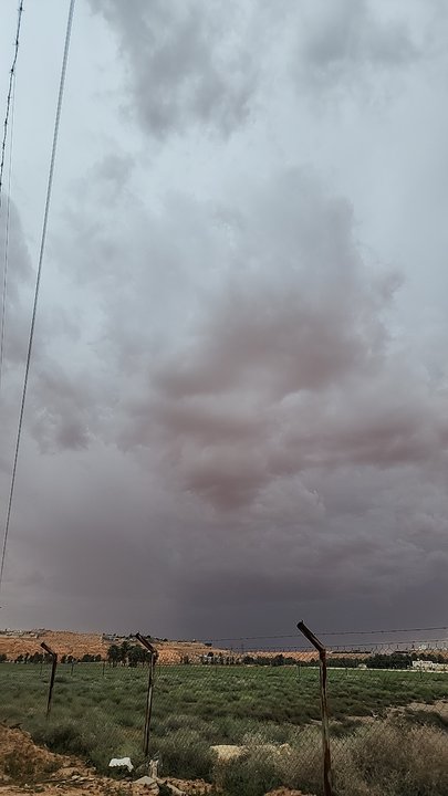 Mes publications Crowdsourcing