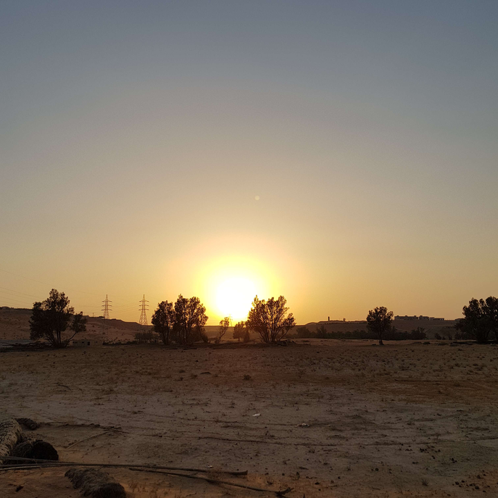 مشاركاتي في أنت الراصد