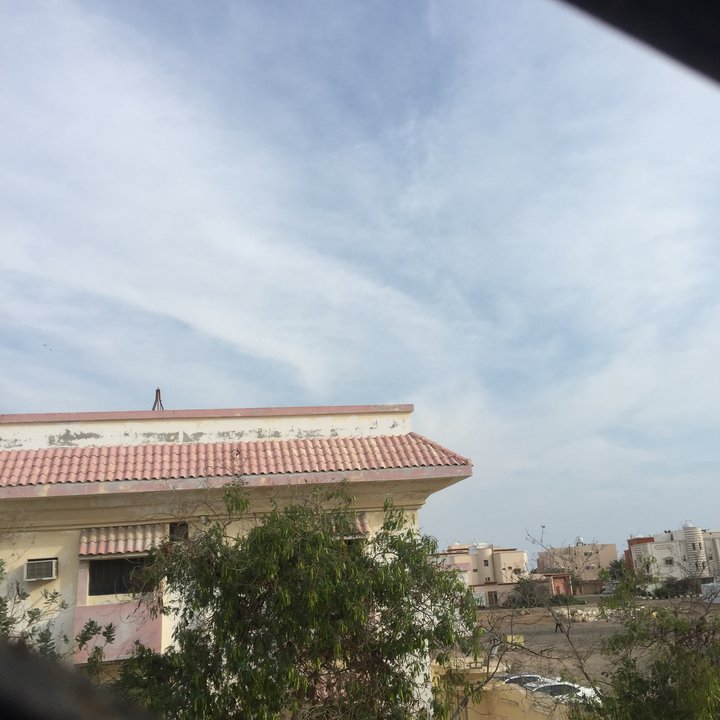 مشاركاتي في أنت الراصد