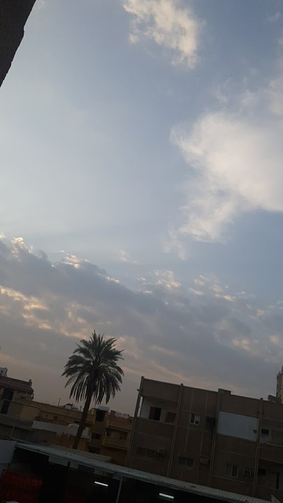 مشاركاتي في أنت الراصد