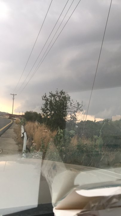 مشاركاتي في أنت الراصد