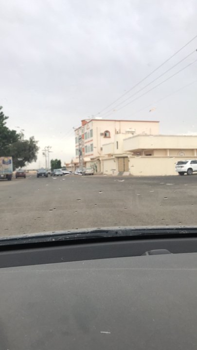 مشاركاتي في أنت الراصد