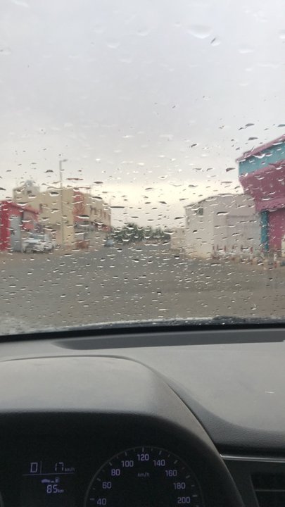 مشاركاتي في أنت الراصد