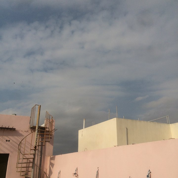 مشاركاتي في أنت الراصد