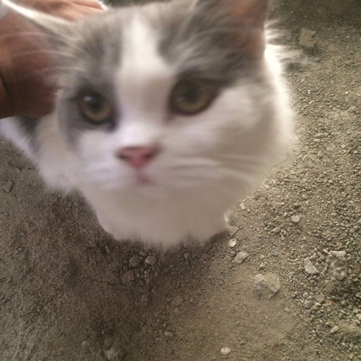 My Crowdsourcing Posts