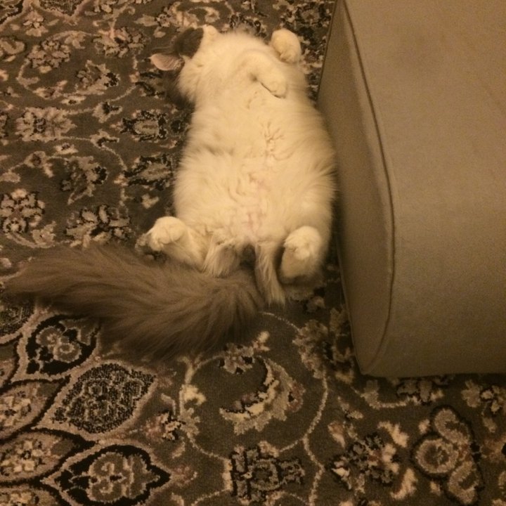 My Crowdsourcing Posts