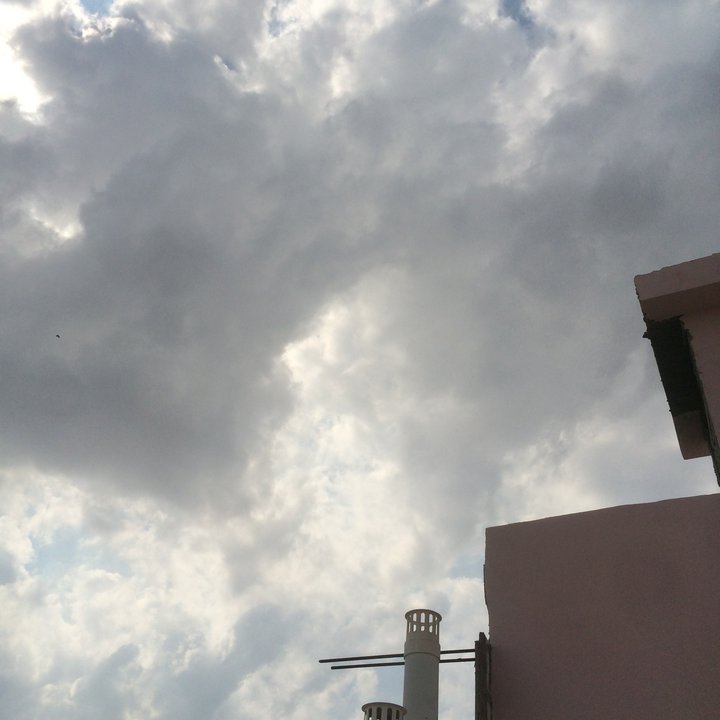 مشاركاتي في أنت الراصد