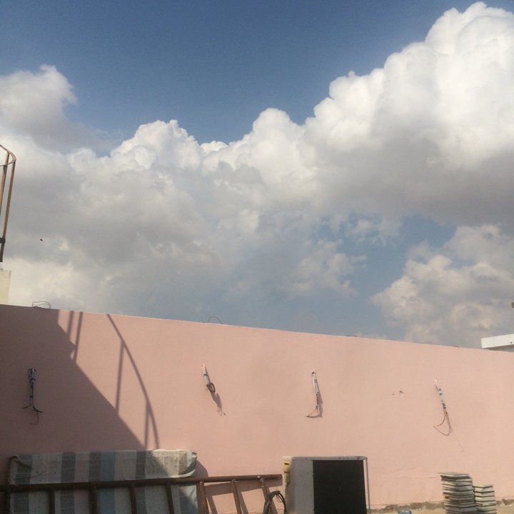 مشاركاتي في أنت الراصد