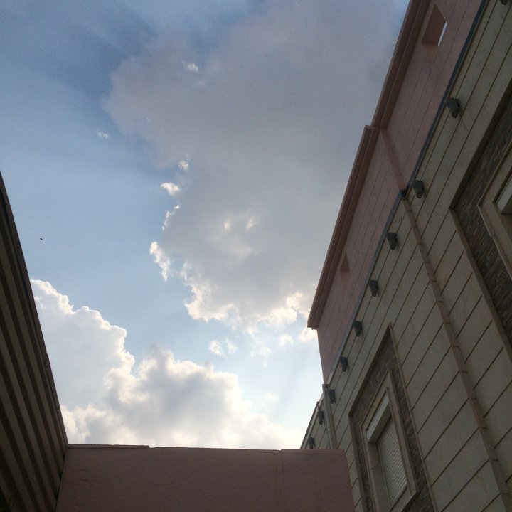 مشاركاتي في أنت الراصد