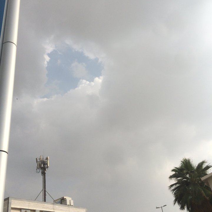 مشاركاتي في أنت الراصد