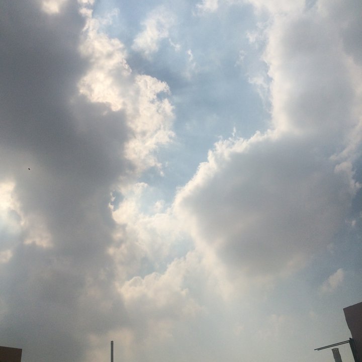 مشاركاتي في أنت الراصد