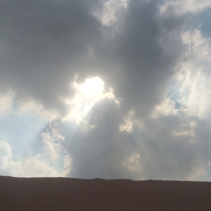 مشاركاتي في أنت الراصد