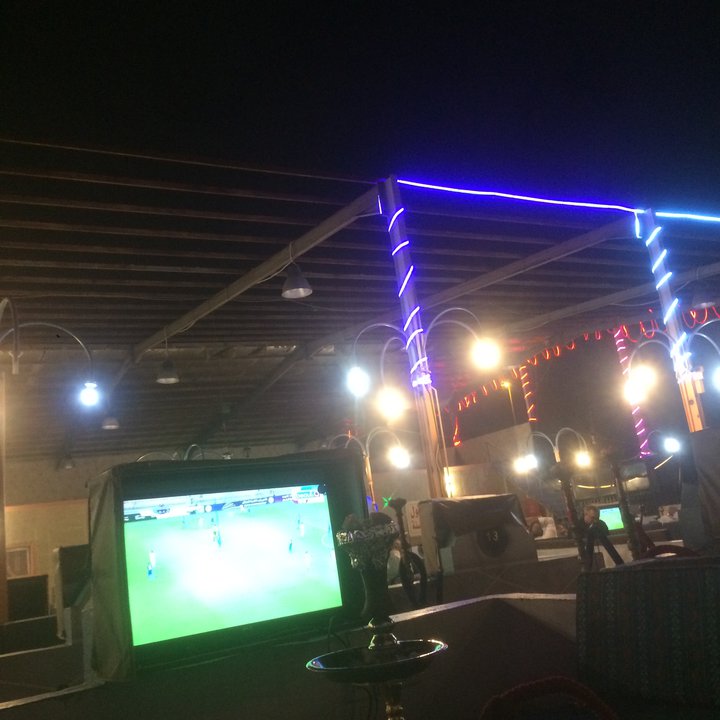 مشاركاتي في أنت الراصد