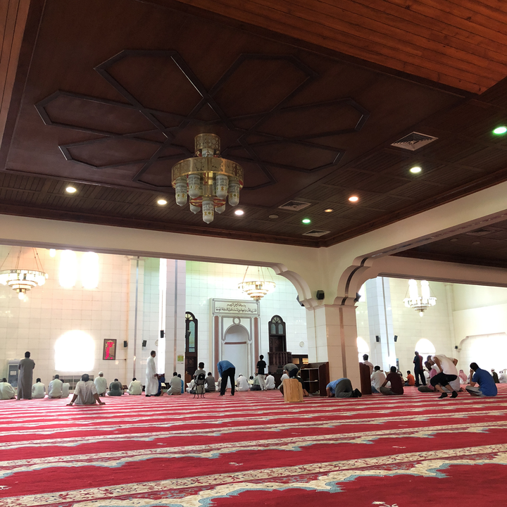 مشاركاتي في أنت الراصد