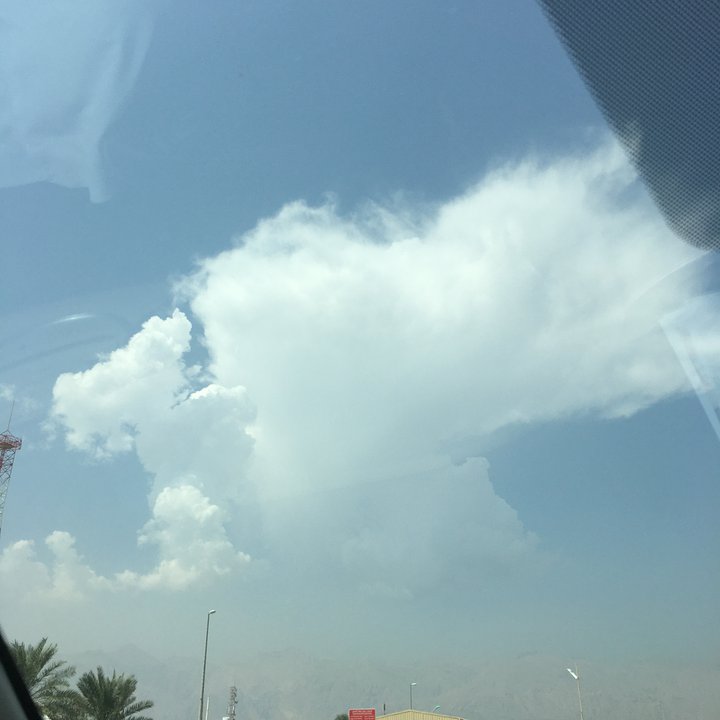 مشاركاتي في أنت الراصد