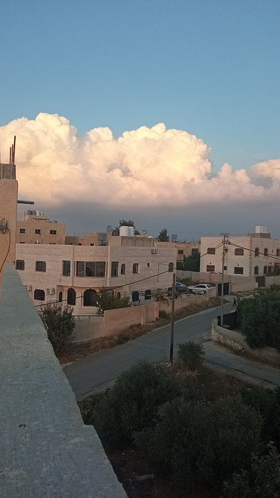 مشاركاتي في أنت الراصد