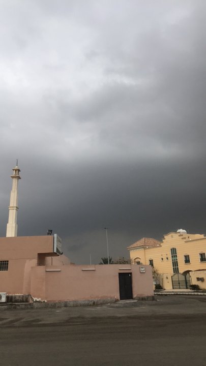 مشاركاتي في أنت الراصد