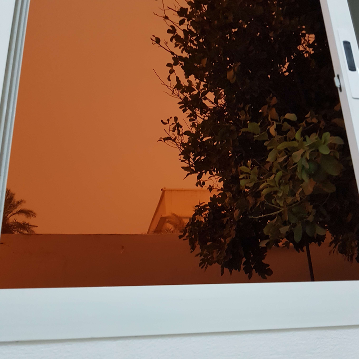 مشاركاتي في أنت الراصد