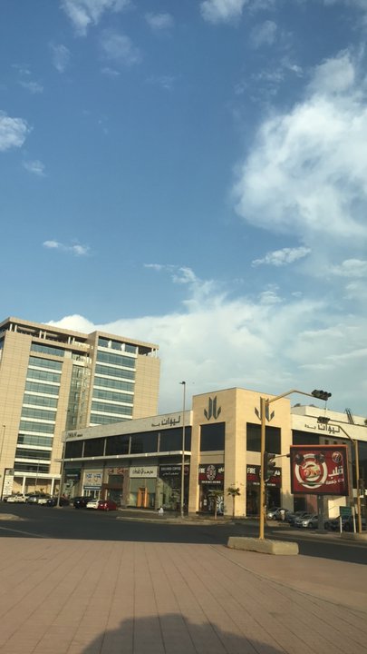 مشاركاتي في أنت الراصد