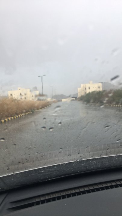 مشاركاتي في أنت الراصد