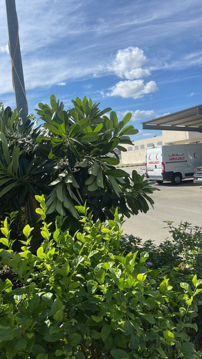 Mes publications Crowdsourcing