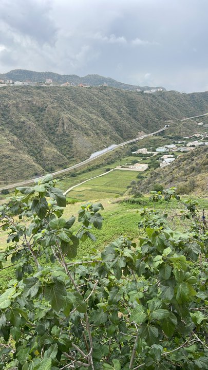 Mes publications Crowdsourcing