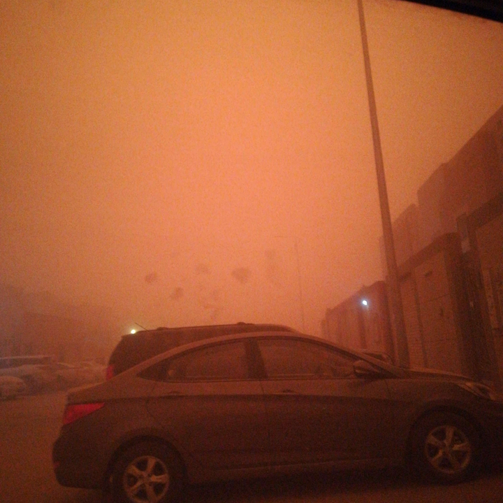 مشاركاتي في أنت الراصد