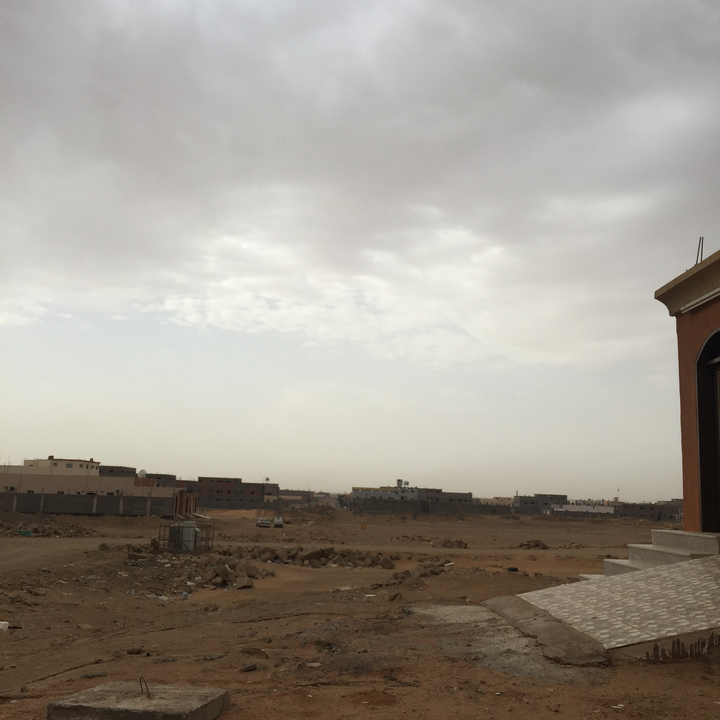 مشاركاتي في أنت الراصد