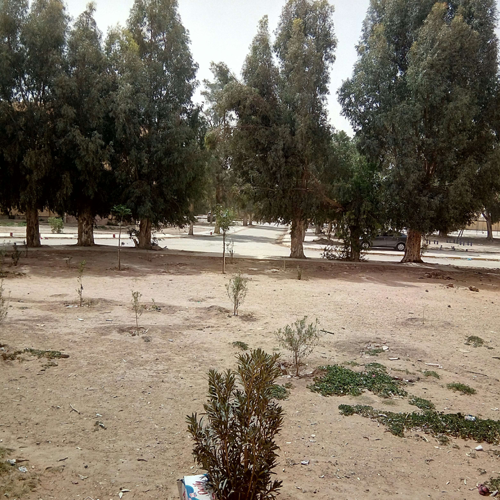 My Crowdsourcing Posts