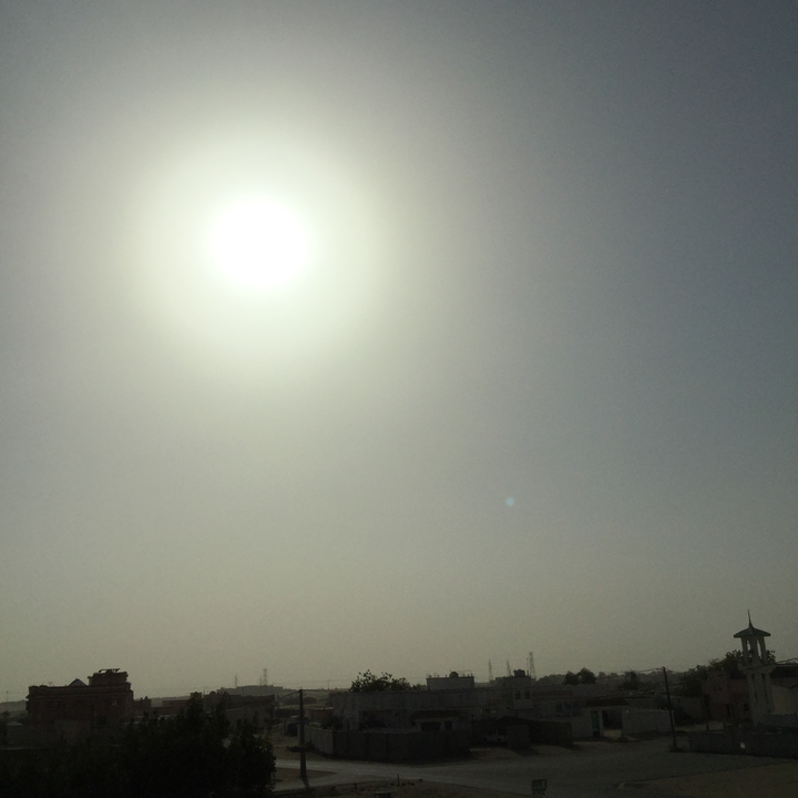 مشاركاتي في أنت الراصد