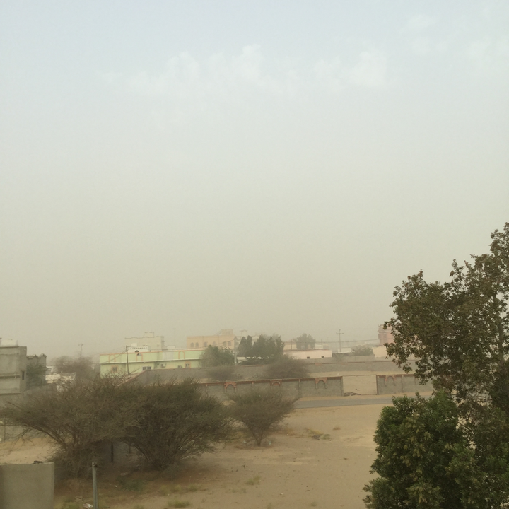 مشاركاتي في أنت الراصد