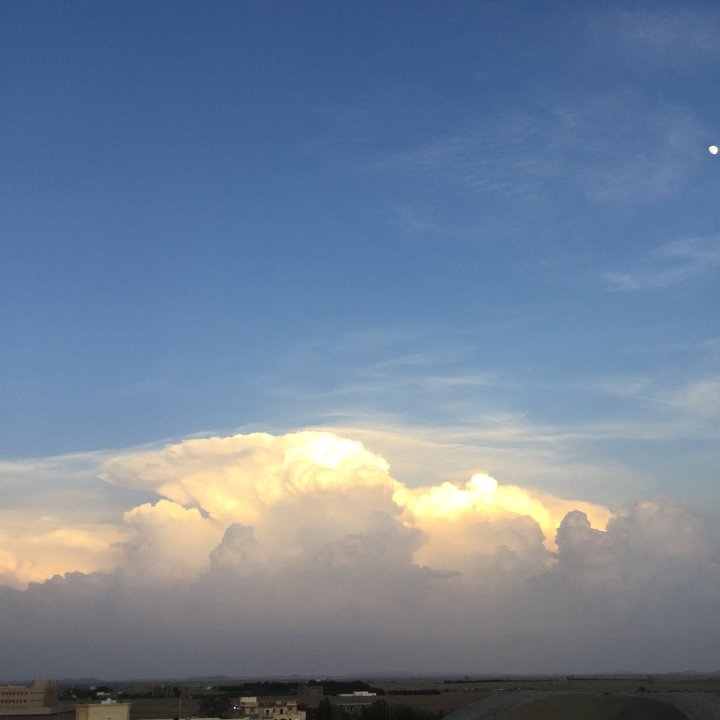 My Crowdsourcing Posts