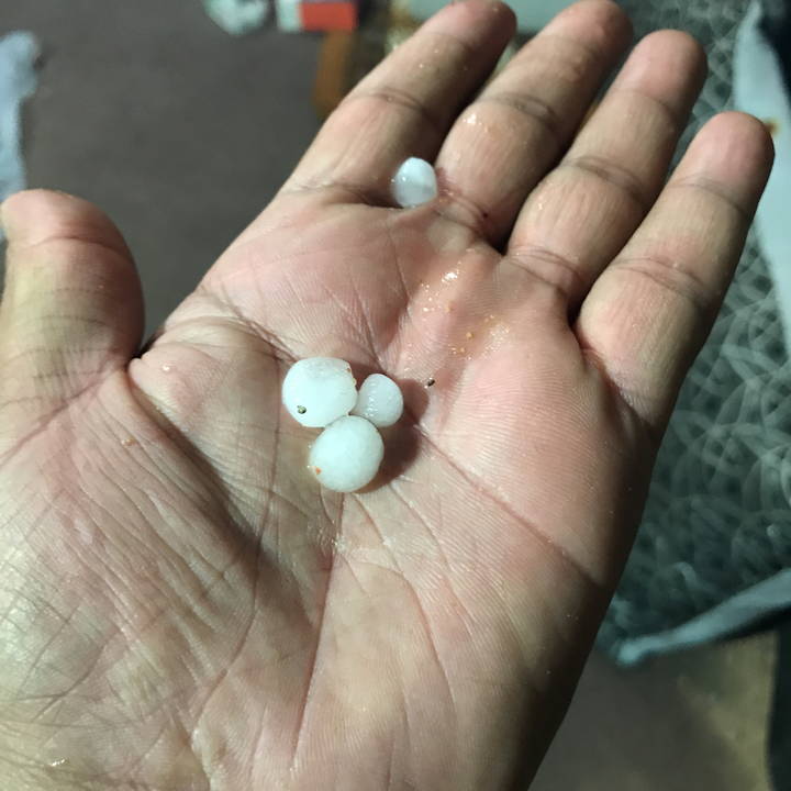 مشاركاتي في أنت الراصد