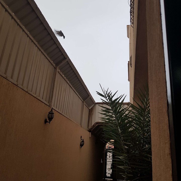 My Crowdsourcing Posts