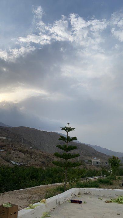 مشاركاتي في أنت الراصد